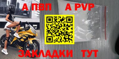 стафф Ачхой-Мартан
