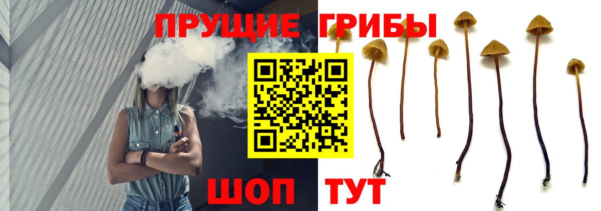 Псилоцибиновые грибы мухоморы  Вход с VPN  Орехово-Зуево 