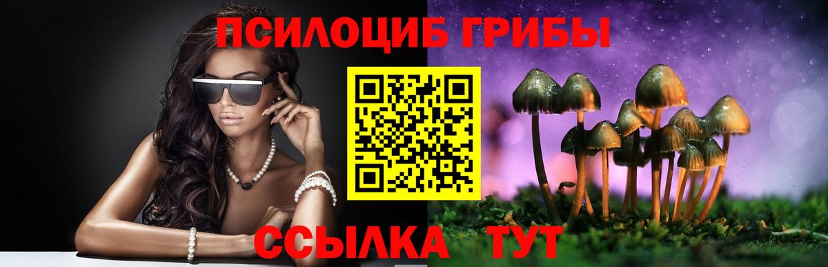 Псилоцибиновые грибы Cubensis Орехово-Зуево